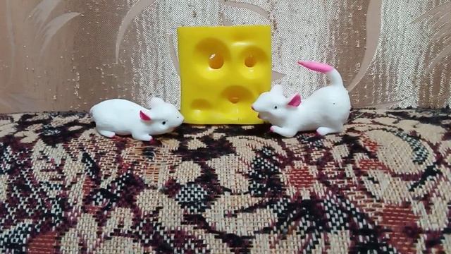 мыши не поделили сыр