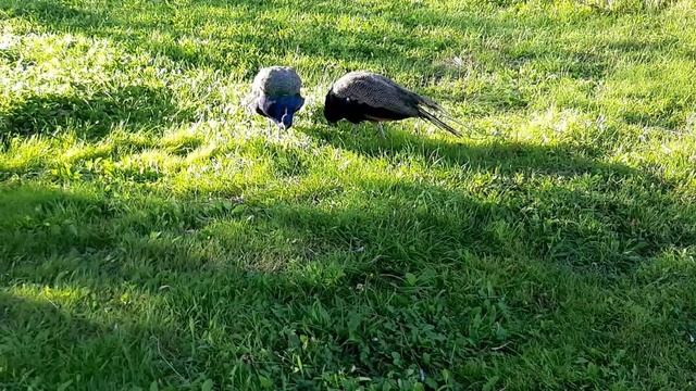 06def34d324c5f5a82440016452892a3