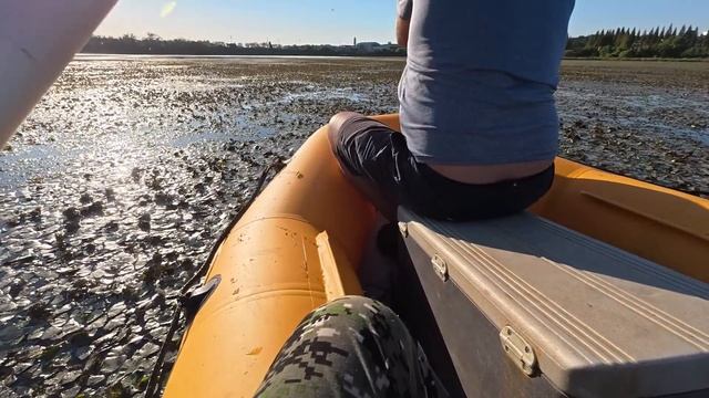 A74f737ff9f1e58c47a5b6ab26036d2a