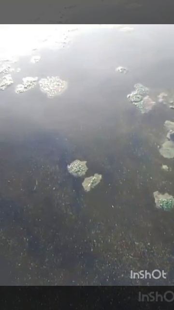 B32b15785b214a16f111b44c583c56b4