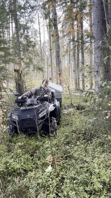 В лес за Лосем! Удачная охота