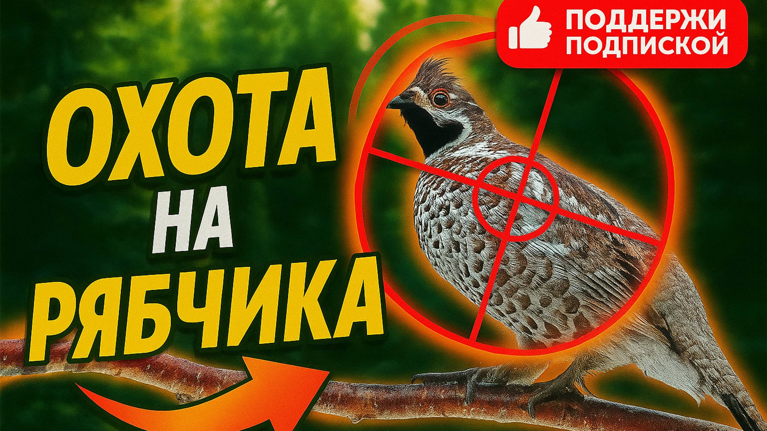 Где рябчик? В лесу тишина #манки #рябчик #охота #мужскоедело #лес #медведь