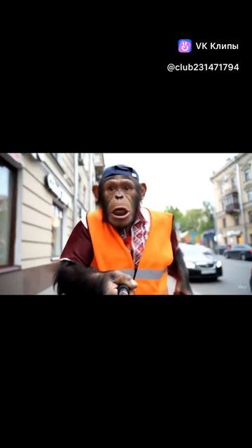 обезьяна жора прикол