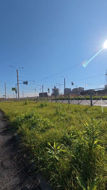 Мой день сегодня.