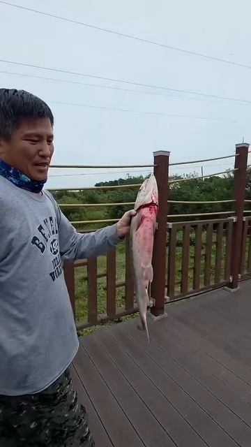 D4f1db56e7fc02f8443da06191012413