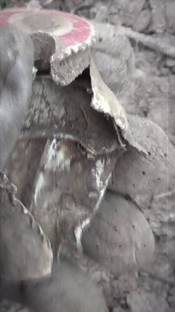 Интересная находка