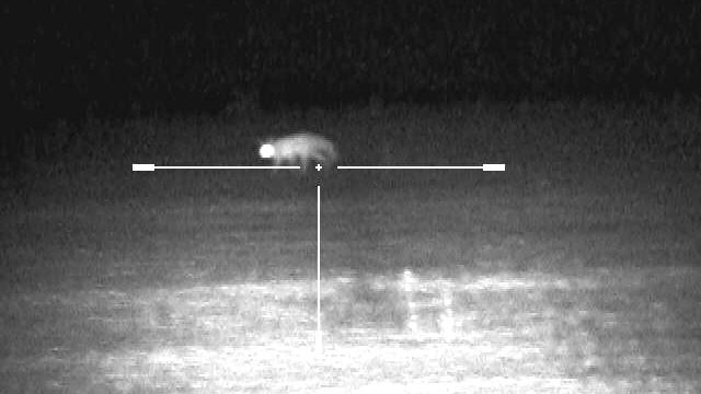 БУМ! ноябрь 2020