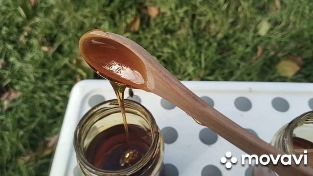 #промёд(Эльфийский мёд из Кади-Юги)