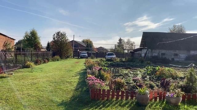 Здравствуй 