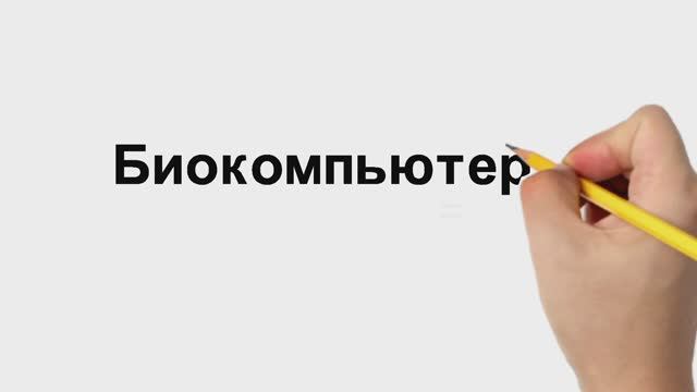 Биокомпьютеры