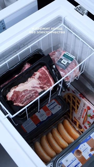 Мясо, ягоды и, конечно, пельмени — поместится все, что нужно!