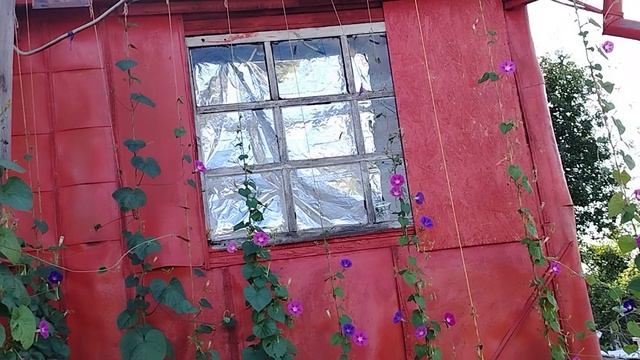 Лето в 2025. Деревня