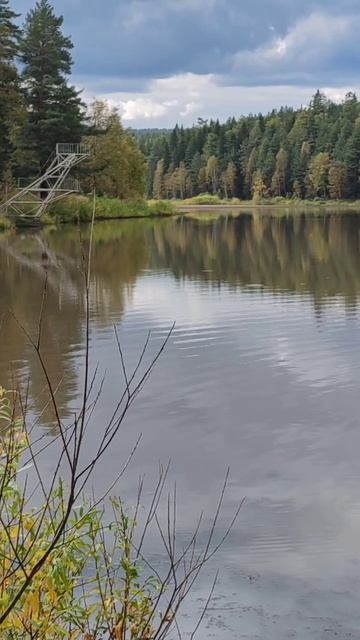 Пруд в г Бакал