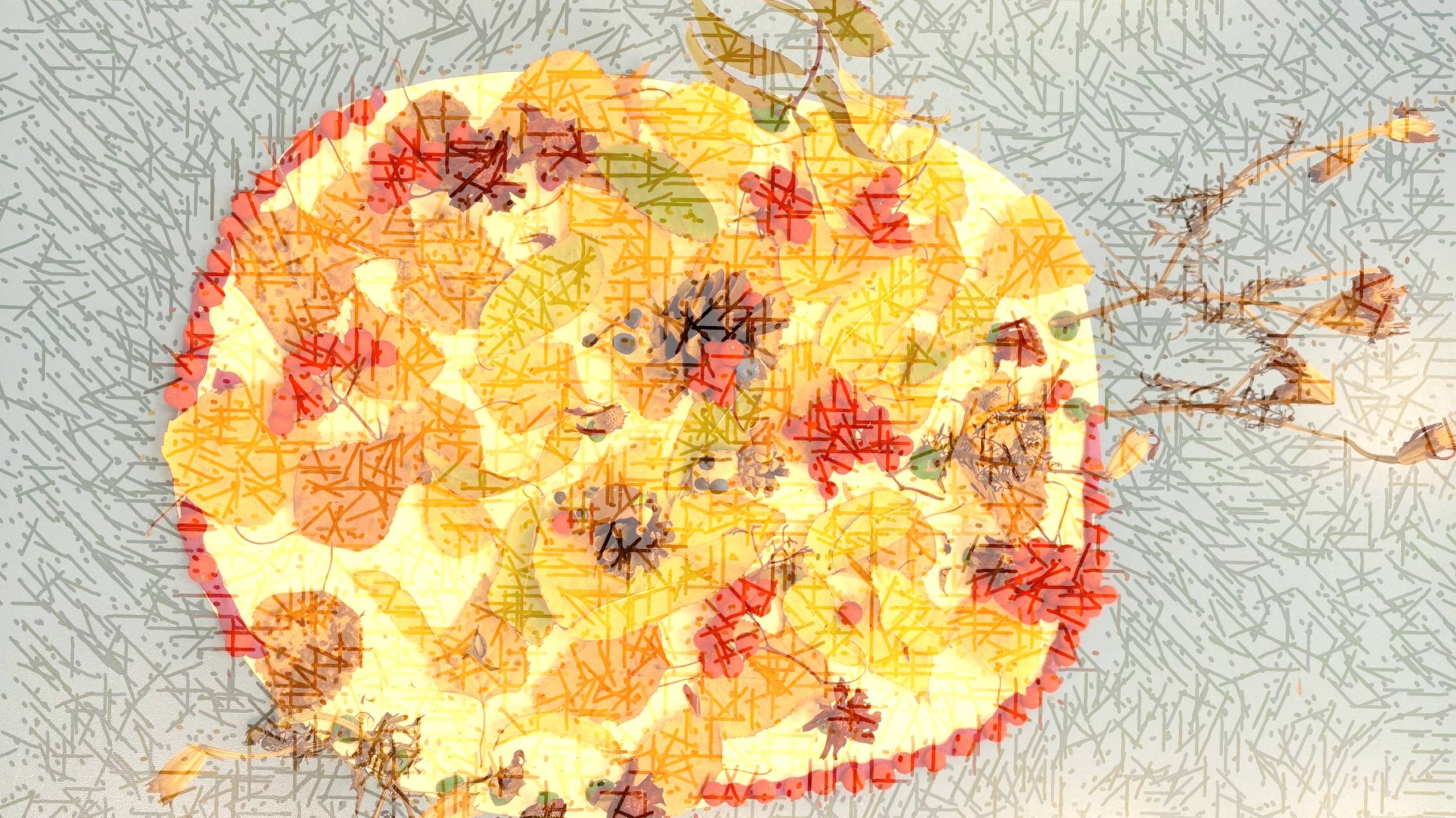 Ежик в лесу