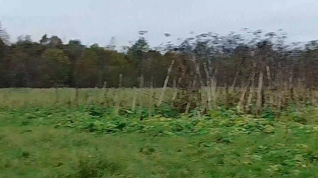Осенние мотивы и 🐐🐎🦮