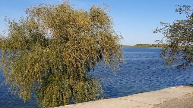 64b10d4bc2f2a28ebcbcf6f09f94d1a6