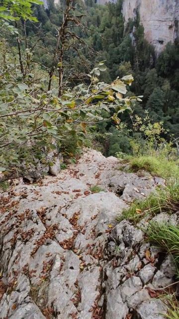 Пальмовый водопад, Мезмай