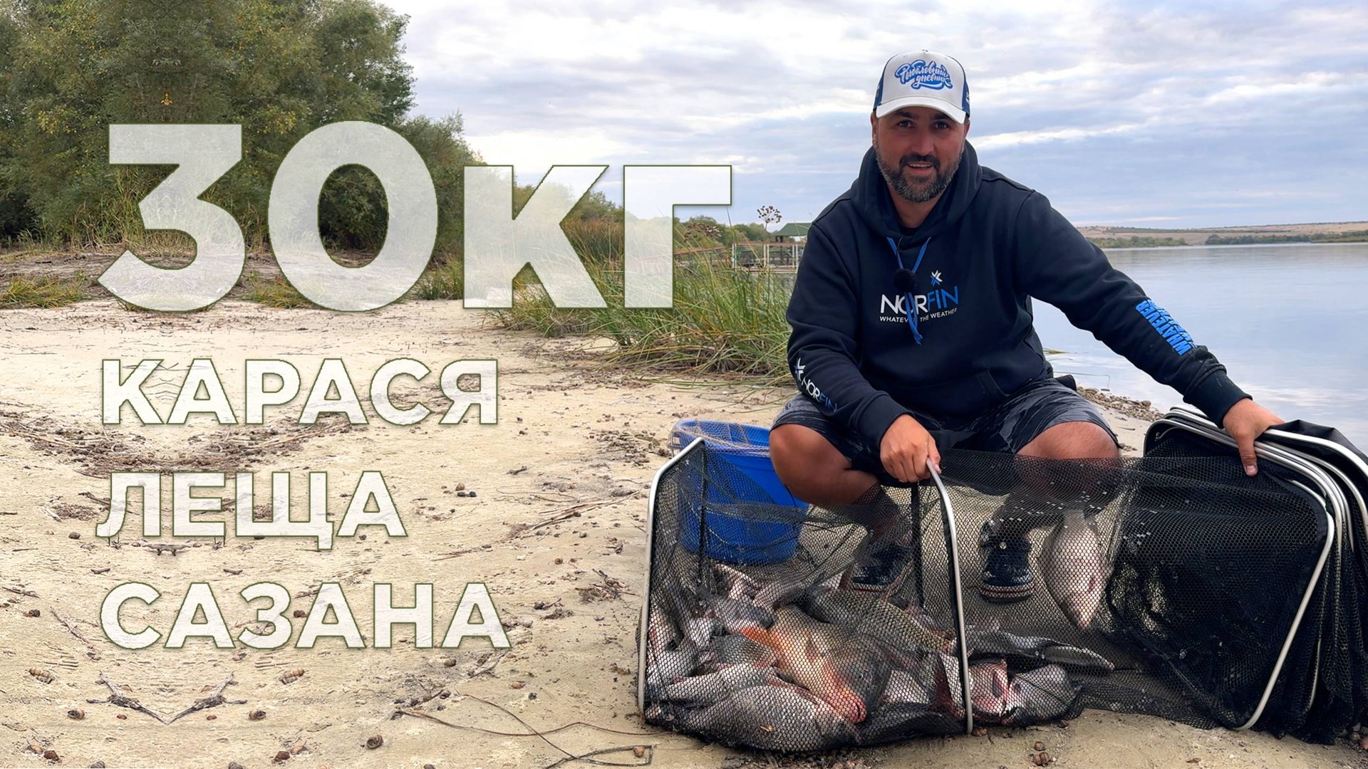 38e99cc72950625655391a5c36db84dc