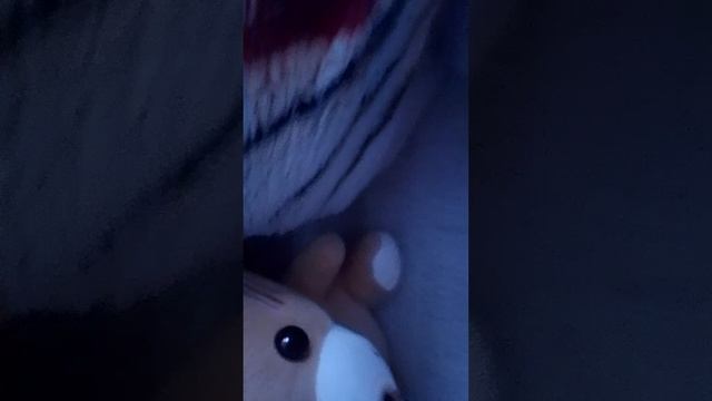 маленькие в мире гигантов.