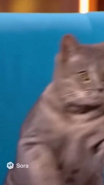 «Мужское-женское» ВЫХОДИТ за все рамки