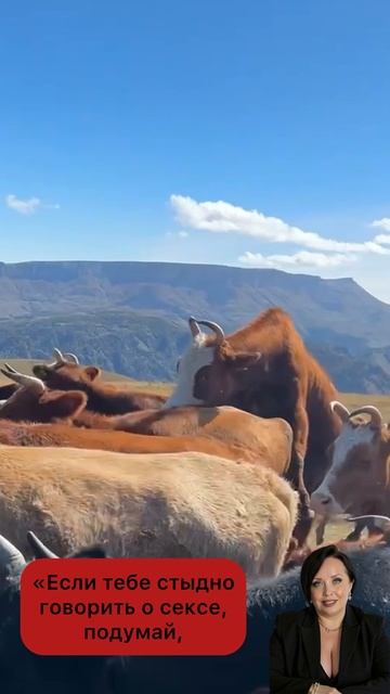 C538a73420d60785647b52e18b5ab9d2