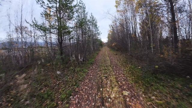 Лобовой краш-тест двух 