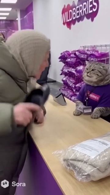 В пунктах выдачи появились ПУШИСТЫЕ сотрудники — оказалось, у них тоже бывают тяжелые дни.