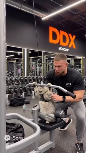 Даже он тянет сотку, а ты нет.