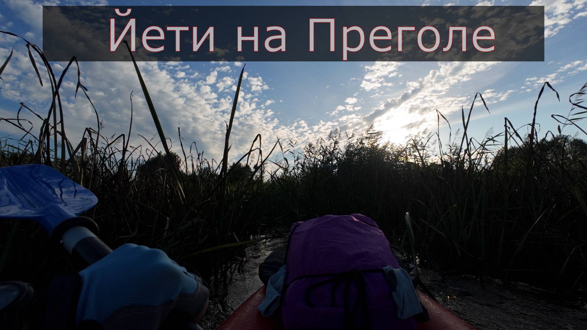 Йети на Преголе