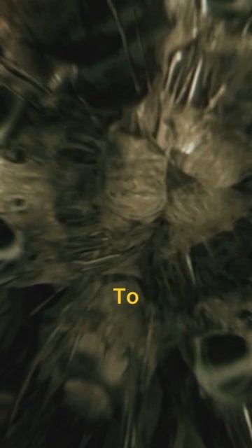 50a2caf84e37921e92fb11802c647231