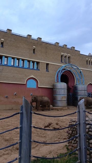 Московский зоопарк, осень