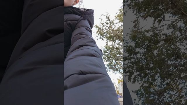 зачарованный лес 1 серия 1 сезон