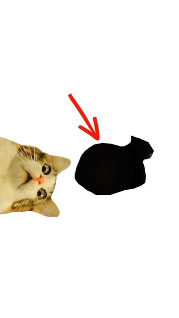 Как работает подростковый возраст