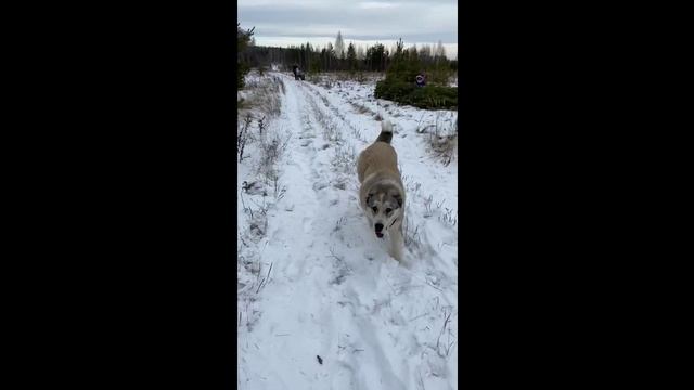 Bc17d4d1ca807b2838685c932c00ff77