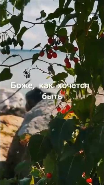 Как хочется жить