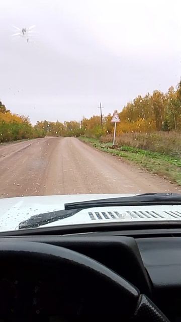 Осень пришла а мы спешим на обработку от мышей!