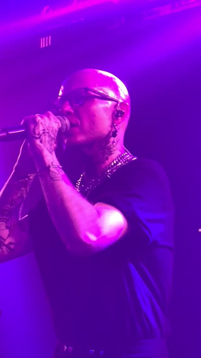 CHESS Live со дня рождения студии Артемия Лебедева