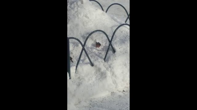 140941cfa8f79982d4784207641185f0