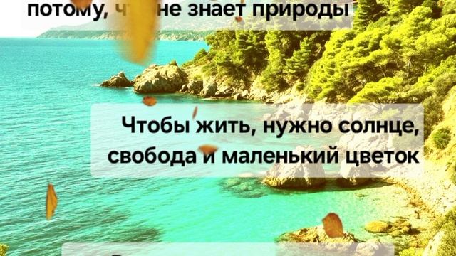 F50763a774e587cfdc21278debe12f9c