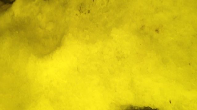 F0657e582532012cec4aa527bab400e9