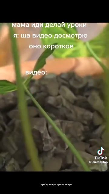 Бесконечное видео