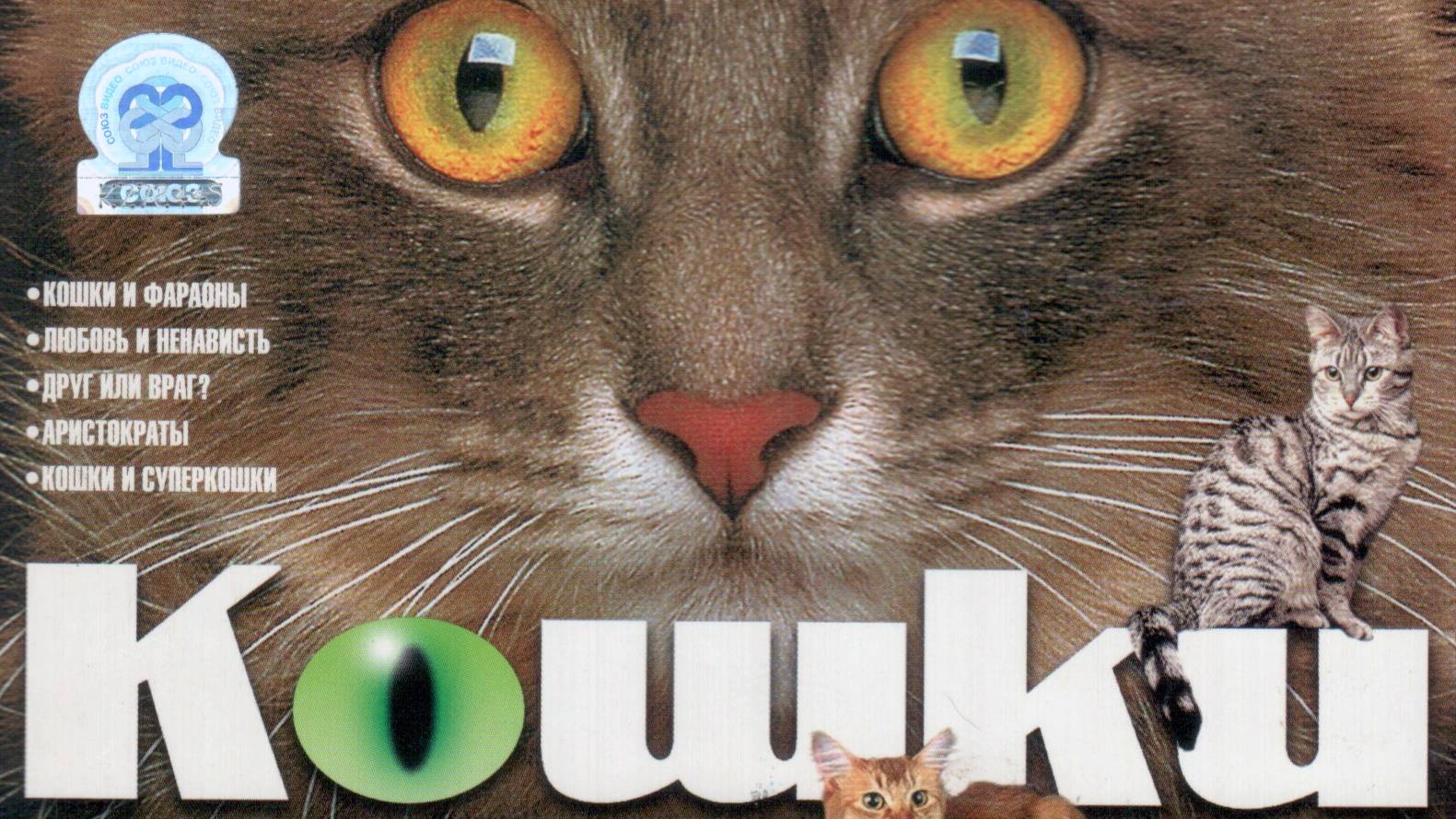 05. Кошки и суперкошки