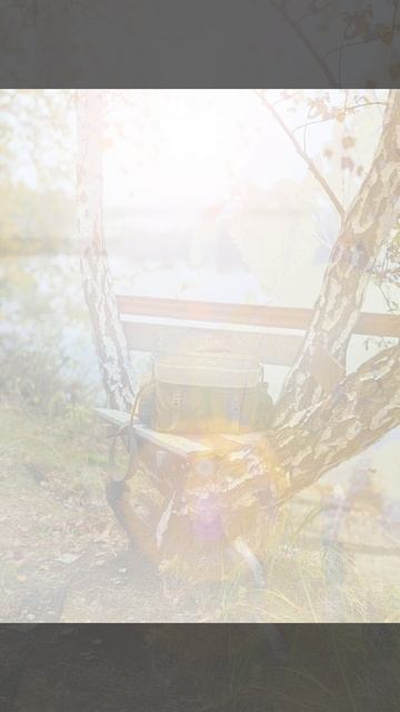 Fe0a427549670ae2ee9e4f4966f2159a