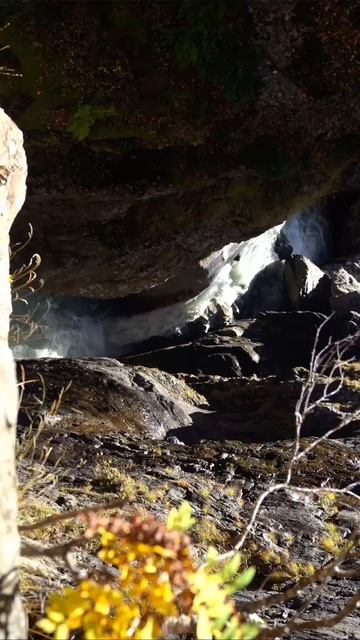 О красотах Домбая #БегаемХудеем #ЯЕду