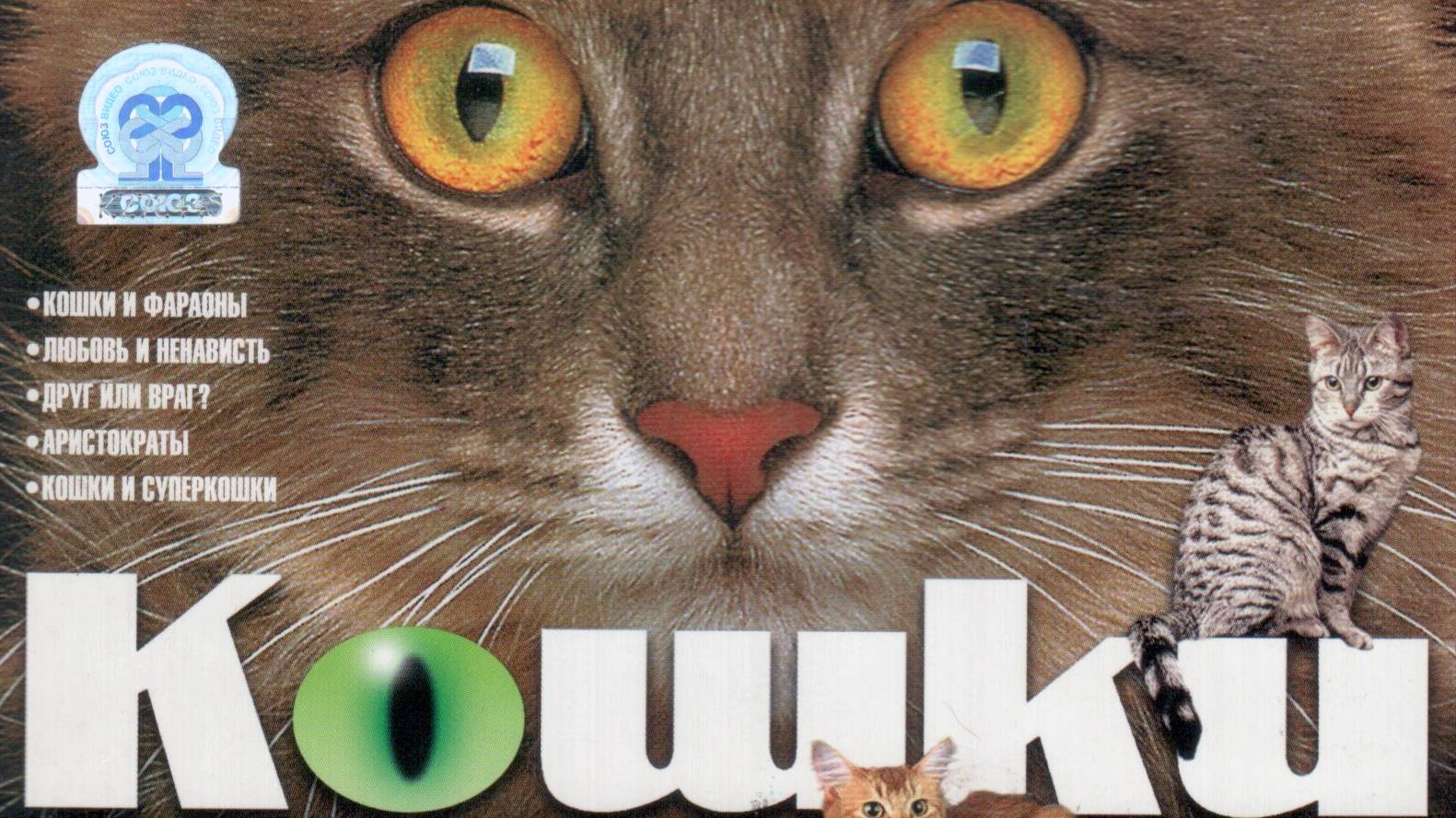 03. Друг или враг