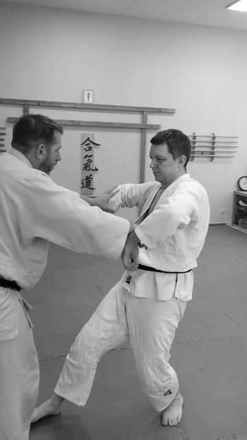 Айкидо+Туйшоу.mp4