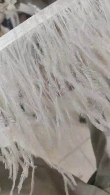 Тесьма из перьев страуса на ленте двухслойная (2 Ply). 13-15 см, 1м.  - Молочный цвет