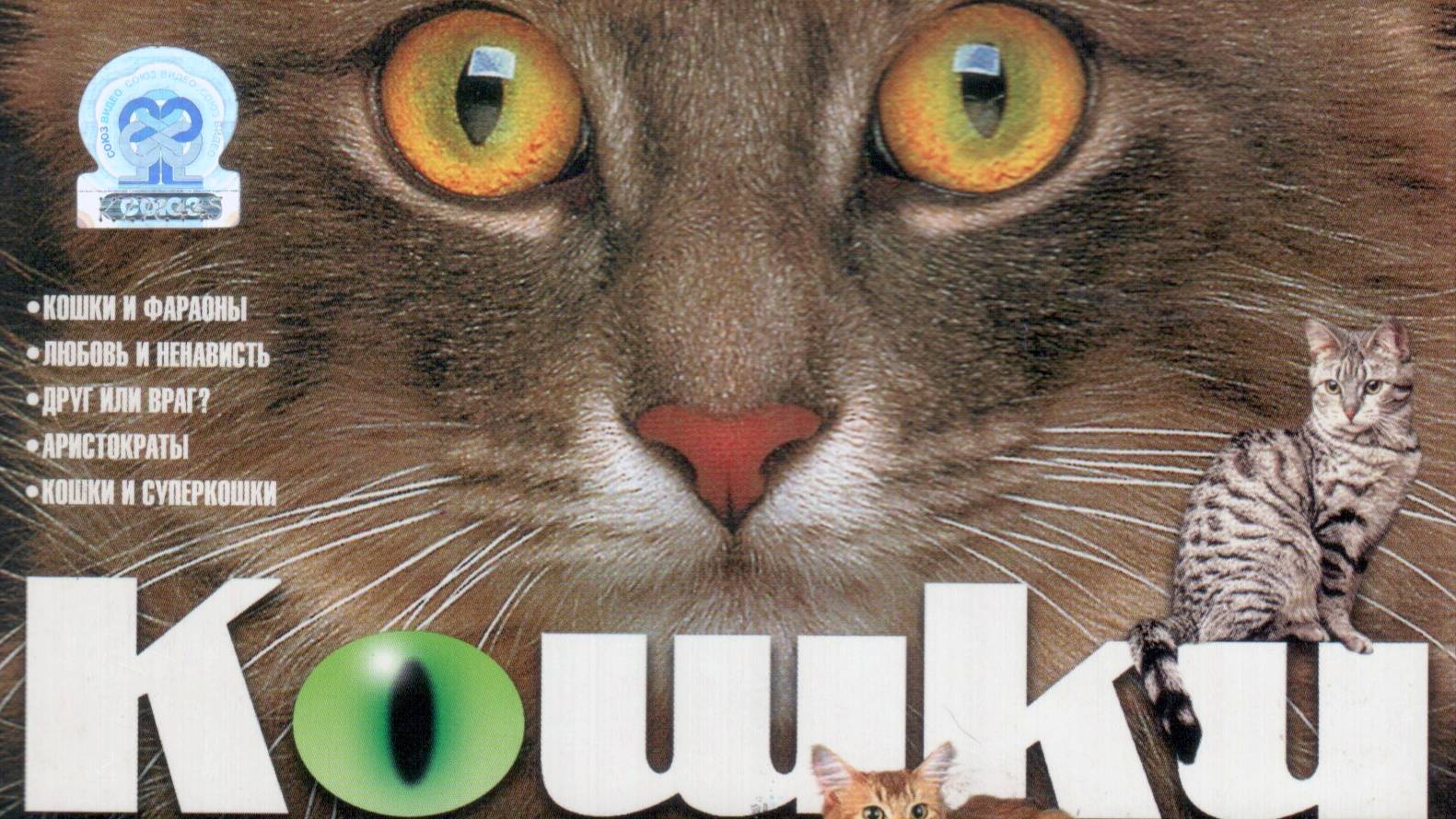 04. Аристократы