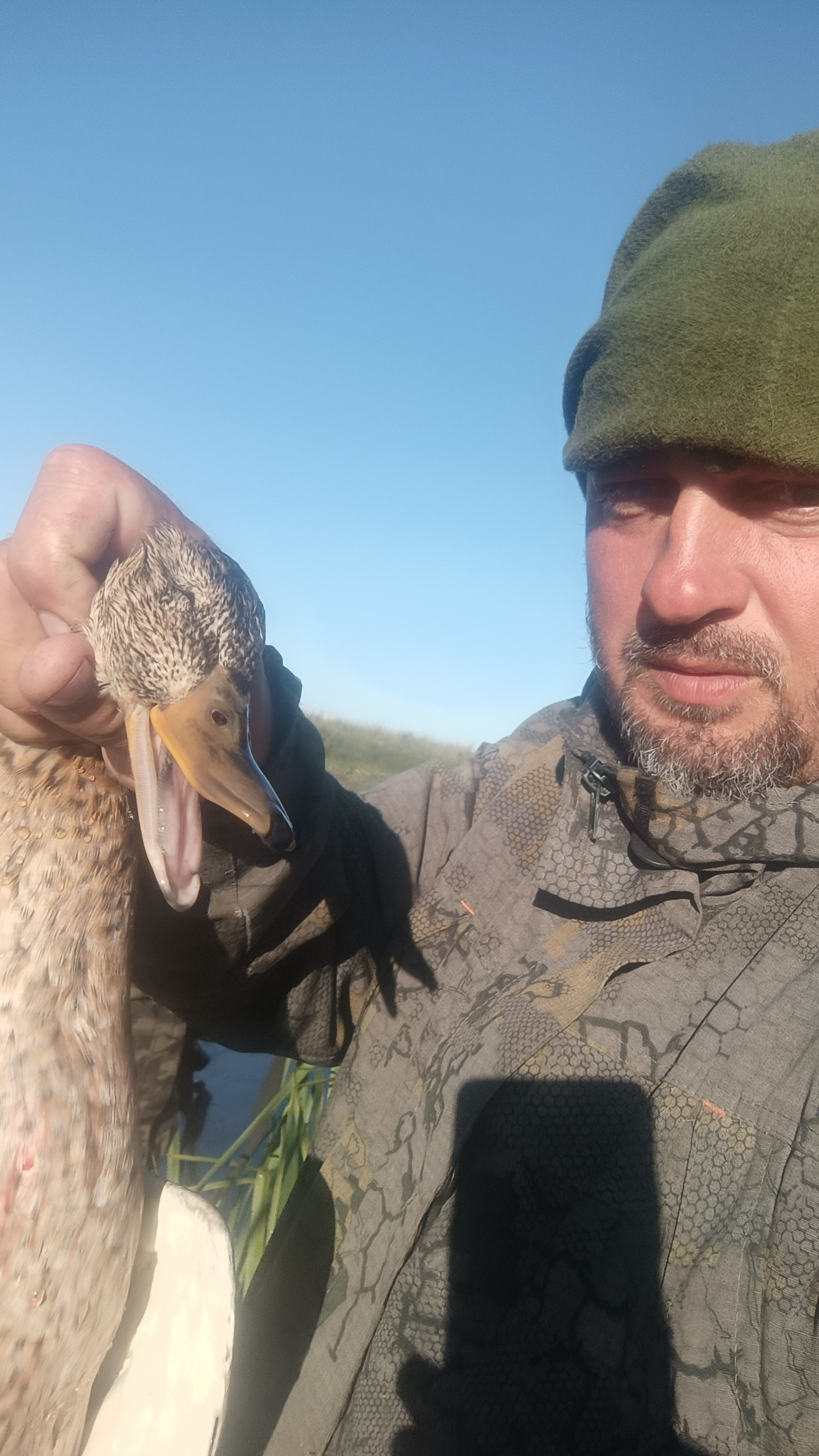 505d3bbd599aa3b4b83b4c6f2f2c5ac5