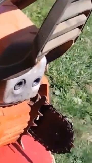 Бензопила для самых труднодоступных мест